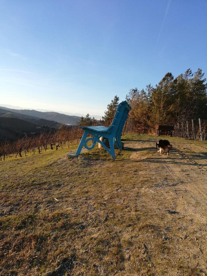 La Giribaldina Winery & Farmhouse Calamandrana Eksteriør bilde
