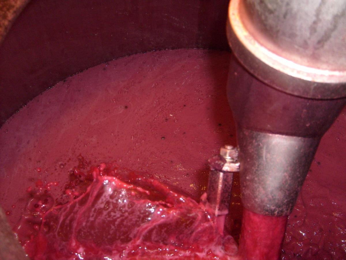 La Giribaldina Winery & Farmhouse Calamandrana Eksteriør bilde