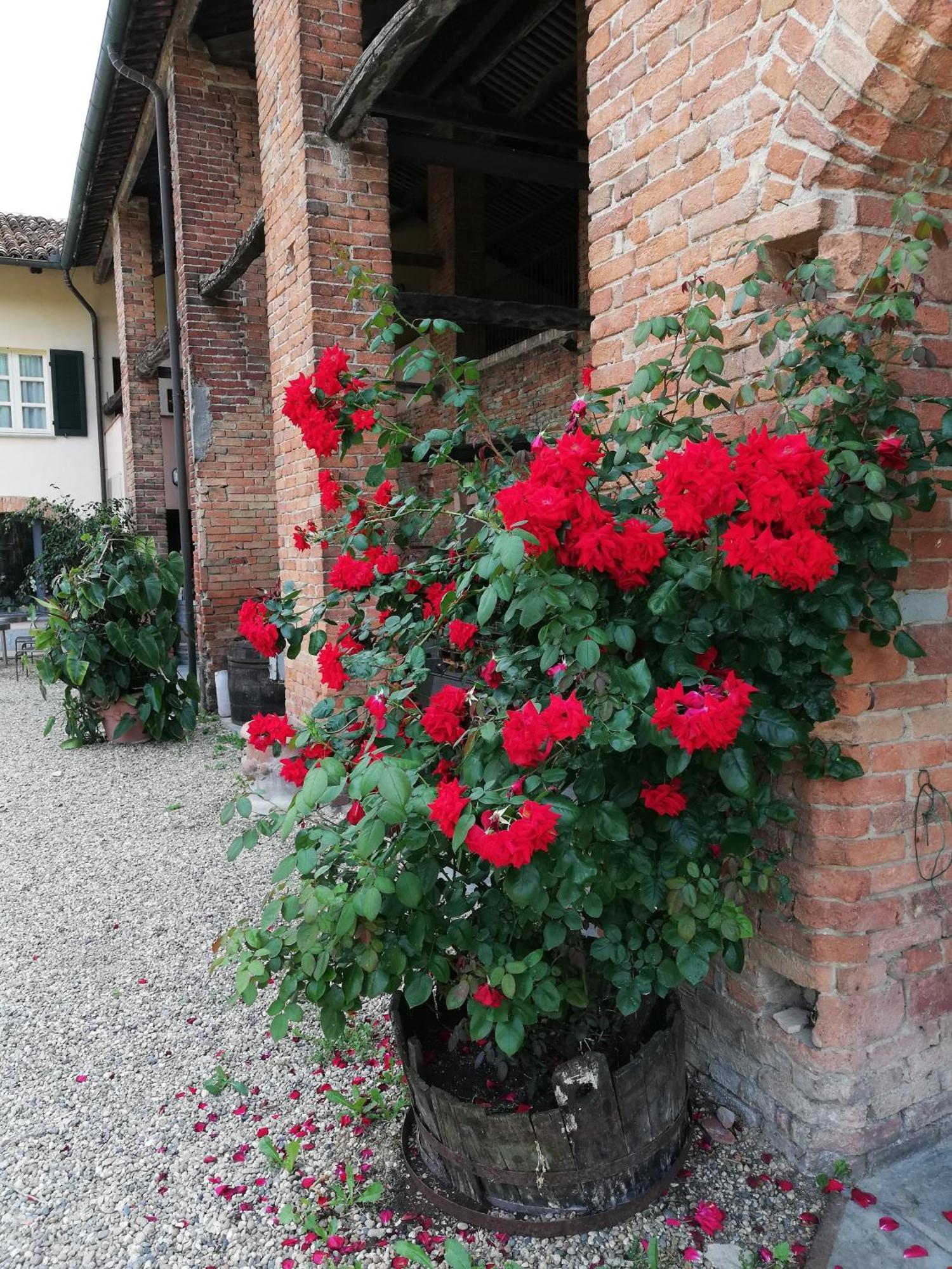 La Giribaldina Winery & Farmhouse Calamandrana Eksteriør bilde