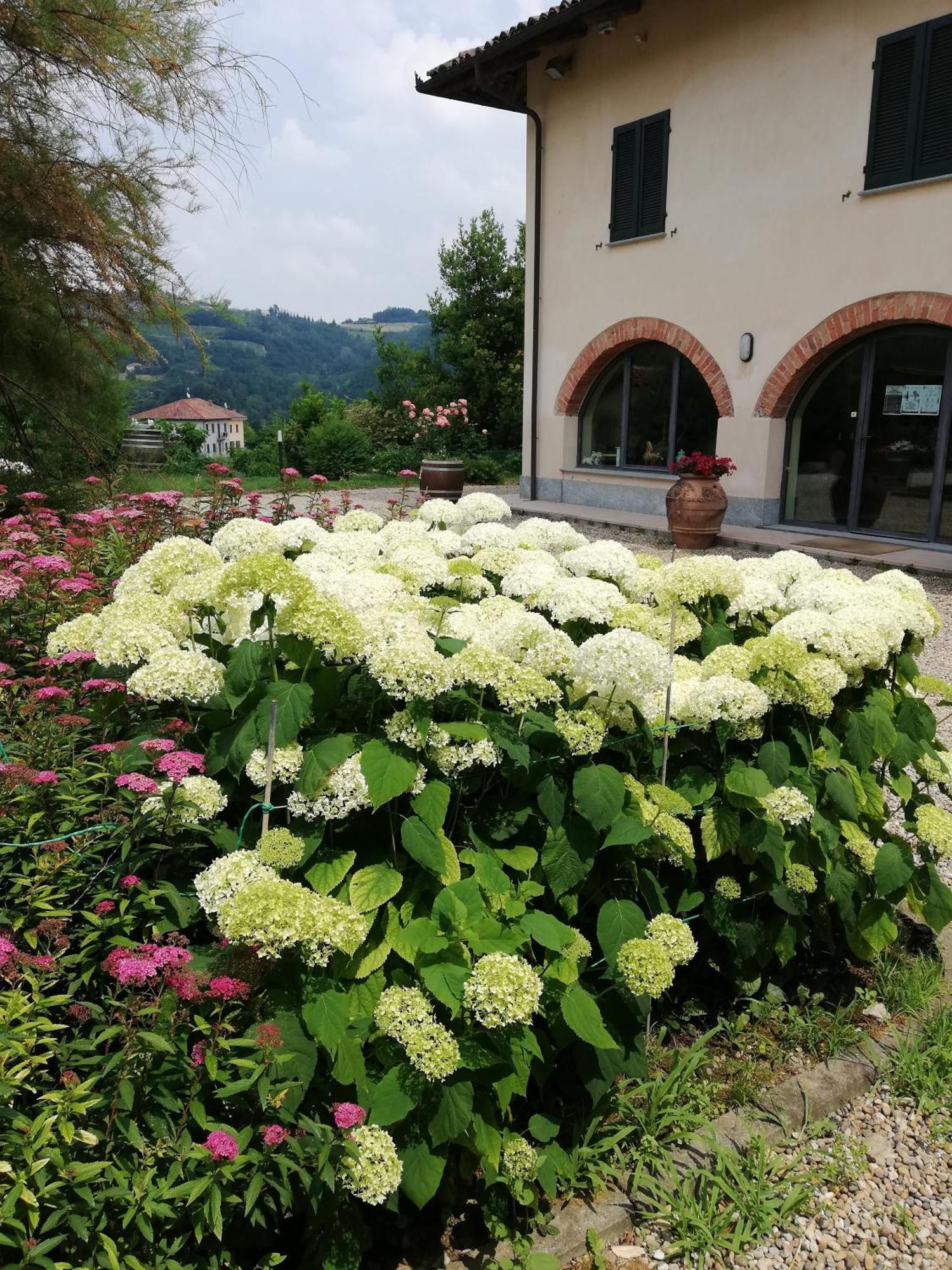 La Giribaldina Winery & Farmhouse Calamandrana Eksteriør bilde
