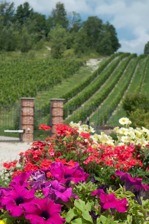 La Giribaldina Winery & Farmhouse Calamandrana Eksteriør bilde